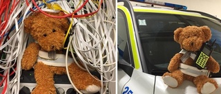 Nalle från Uppsala besökte polisen