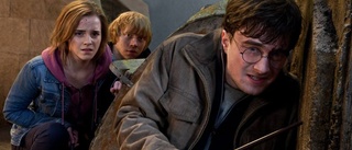 Harry Potters värld fortsätter trollbinda