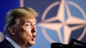 Nato överlever Trump