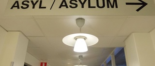 Nämndemännens partifärg spelar roll i asylfall
