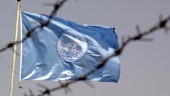 FN-arbetet för mänskliga rättigheter behöver mer stöd 