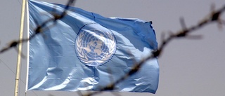 FN-arbetet för mänskliga rättigheter behöver mer stöd 