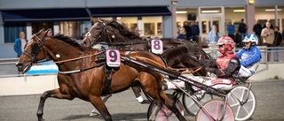 Svårhittad vinnare i Mäster Gustafs Pokal