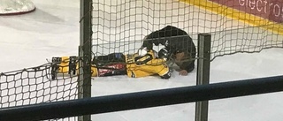 Luleå Hockey-tränaren: "Han är inte inlagd på sjukhus"