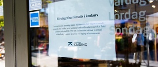 Luleåbutik i konkurs