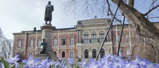 "Döden för universitetet som universitet"