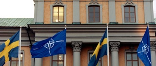 Sverige bör inte gå med i Nato