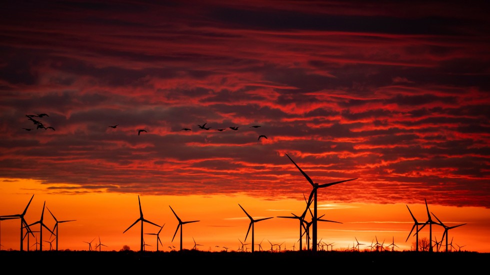 Under 2021 stoppade svenska kommuner 78 procent av alla ansökta vindkraftverk på land.