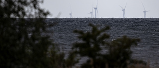 Dålig idé med vindkraft i havet i Västerbotten