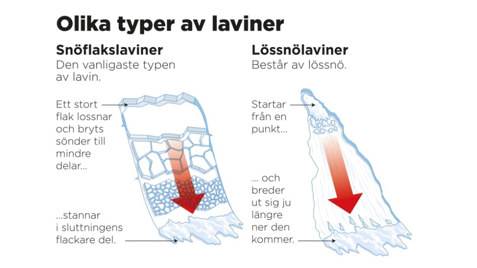 Snöflakslaviner och lössnölaviner.