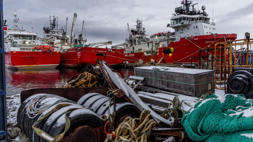 Sedan Norge skärpte sanktionerna mot ryska fiskefartyg får de bara anlöpa tre hamnar i hela landet. Kirkenes är en av dem.