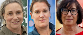 Tre slåss om att bli oppositionsråd i Nyköping ✓SD-kandidat favorit ✓Vänsterpartiet: "Det vore bedrövligt"