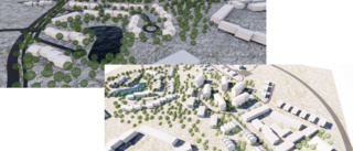 Över 200 bostäder planeras i skogen vid Ljungbergaskolan • Tid för planerad byggstart • Vd om läget: "Vända inom en snar framtid"  