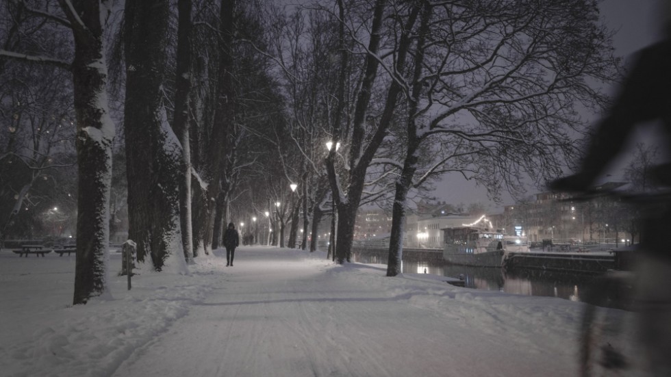 Så blir vädret till jul enligt talesättet