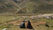 Sagan som mot alla odds blev nominerad till en Oscar • "Skolan vid världens ände" är gullig reklam för Bhutan