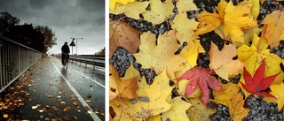 Ovanligt mild oktober – och så blir vädret till helgen