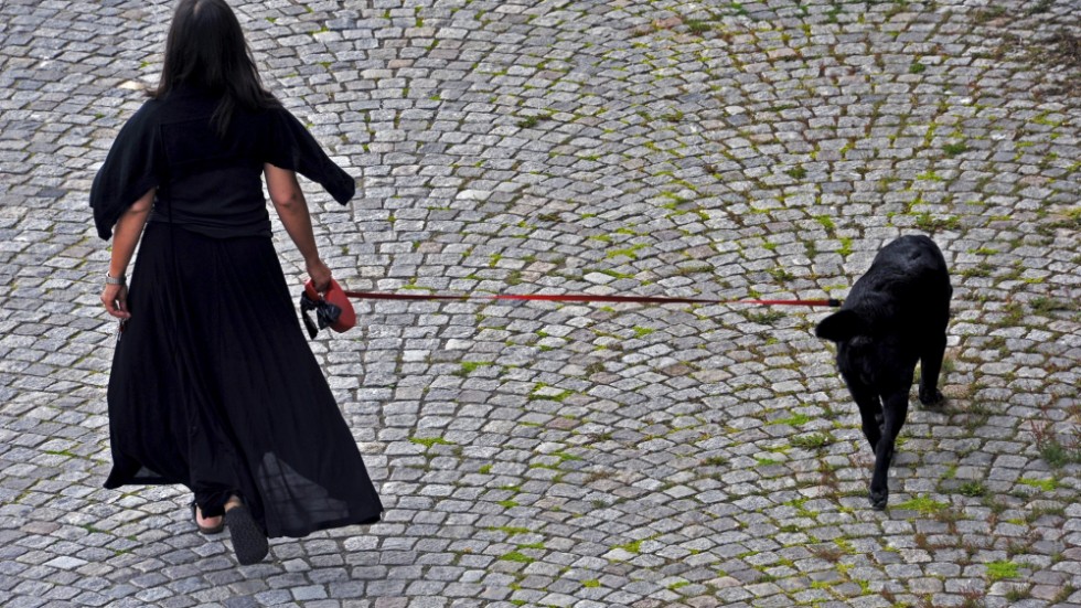 Med flexikoppel kan det vara svårt att hålla koll på sin hund och presumtivt farligt, menar signaturen Hundvän.