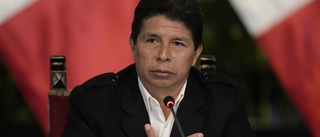 Perus president avsatt – anklagad för statskupp
