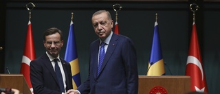 Vad mer tänker regeringen göra för Erdogan?