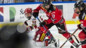 Enda orosmolnet för Luleå: "Vi måste vara beredda"