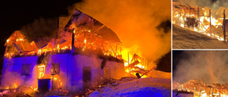 Stort räddningspådrag vid brand • Ladugård gick inte att rädda – 50-tal djur brann inne: ”Det var helt övertänt”