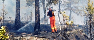 SMHI varnar: Hög risk för skogsbrand