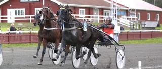 Storstädare De Luxe i V5-spelet i Skellefteå –3-åringar imponerade