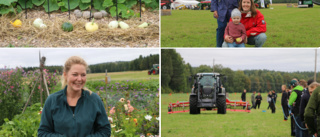 Lantbruksmässa och ny gårdsbutik i Öjebyn: "Vi vill inspirera andra att testa nya sätt att lantbruka"