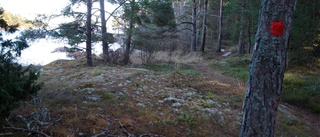Arbete på Gränsö oroar Naturskyddsföreningen