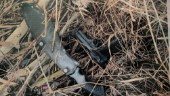 Grovt rån med kniv och pistol – "Trodde jag skulle dö"