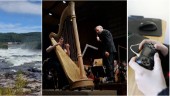 Kultursvepet: Spretig mix – från symfoni till datorspel