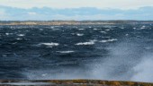 Varning för hårda vindar i kustbandet