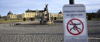 Drönare över Drottningholms slott – man greps
