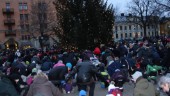 Dags för julgransplundring på Tyska torget