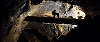 Sverigebilden kan sänka gruvindustrin
