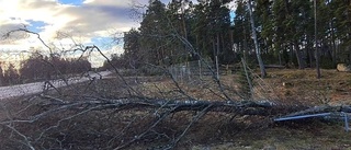 SMHI: Så länge varar kraftiga vindarna i Vimmerby och Hultsfred