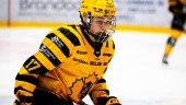 Skellefteå AIK:s talangfulla duo uttagna till Småkronorna – får spela klassiska turneringen i Kanada
