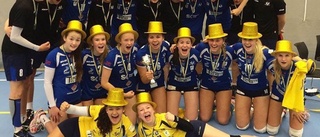 Guld och silver för volleysamhället Norsjö