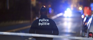 Mera gränslöst för polisen i EU
