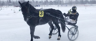 Backegubben vann trots dubbla galopper