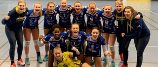 Norsjö Volley vann mot seriesegraren