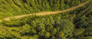 Ny tjänst för bättre skogsbilvägar