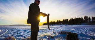 Vinterturismen ökar - ny storaffär presenteras