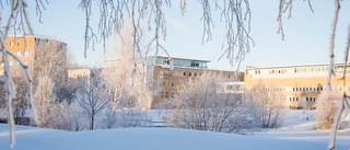 Umeå universitet satsar på Skellefteå