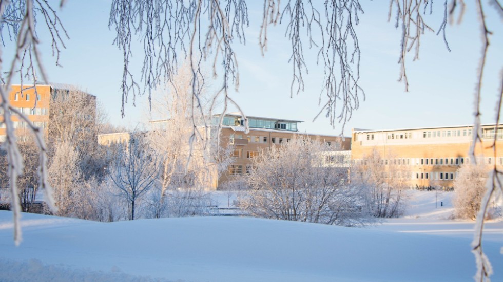 "Nu med start i veckan kan Umeå universitet också erbjuda en treårig yrkeslärarutbildning på Campus Skellefteå."