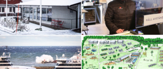 Rederiet storsatsar – på fastigheter • Gotlandsresor söker chef och planerar namnbyte