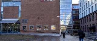 Miljardvinst för friskolejättar