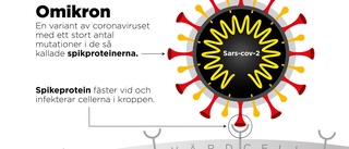 Nya virusvarianten omikron finns i Sverige