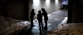 Tysk metod ska stoppa 8-åringar från brottsbana