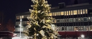 Julgran från Mirja Parviainen 
